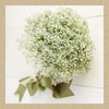 Brides' Flowers