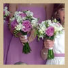 Bridesmaids & Flower Girls